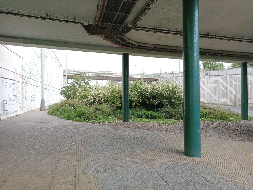 Tecno Camon 18 Premier