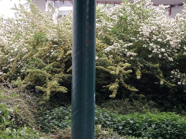 Tecno Camon 18 Premier