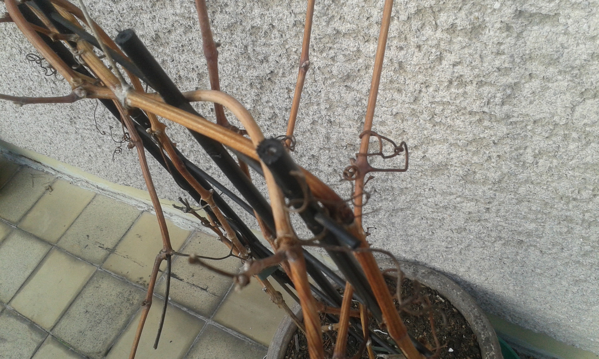 Testovací fotografie