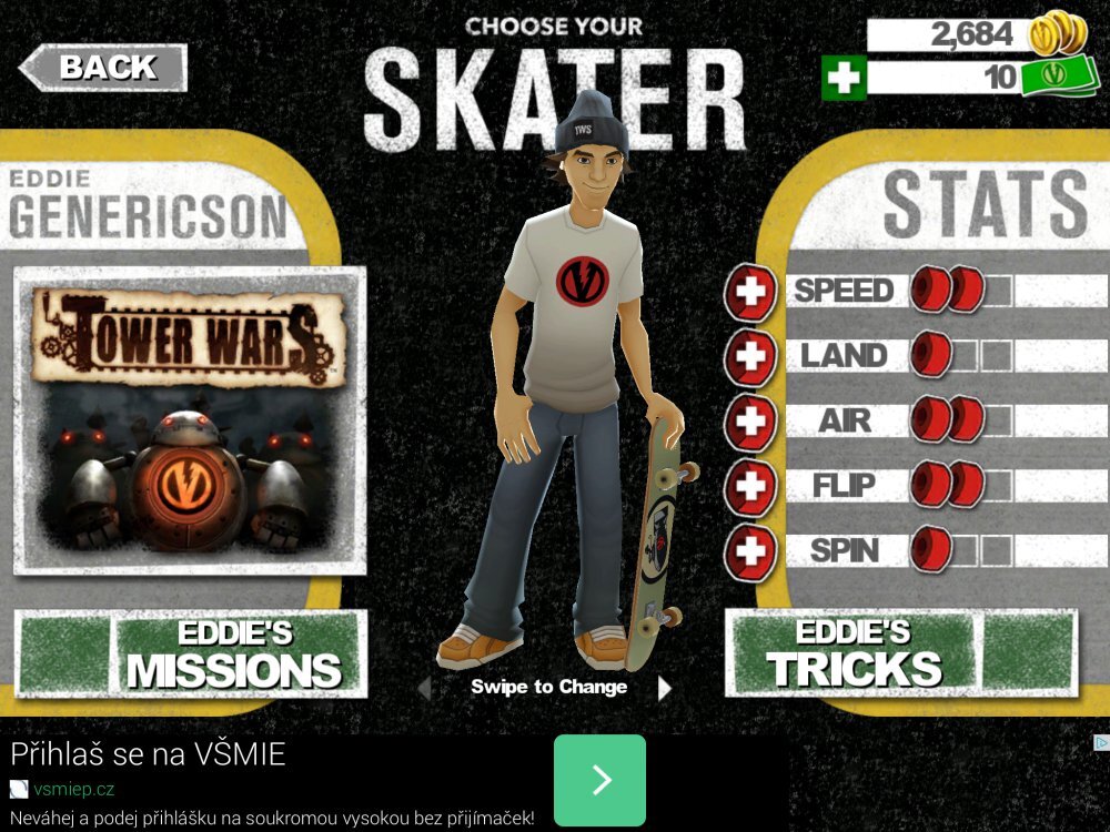 Transworld Endless Skater