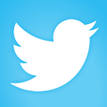 Twitter system icon
