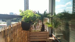 Vertu Signature Touch