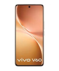 Vivo V60