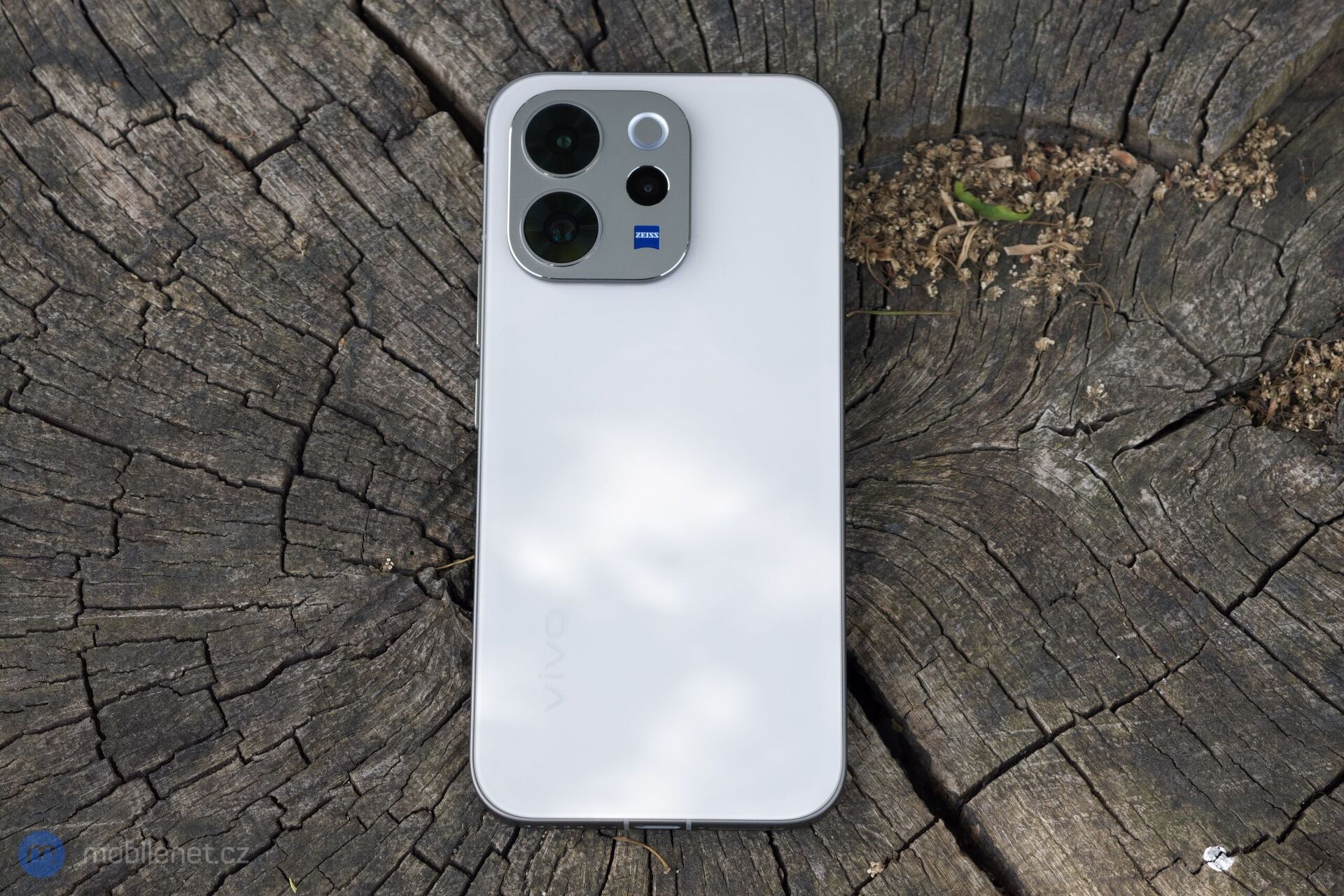 Vivo V70