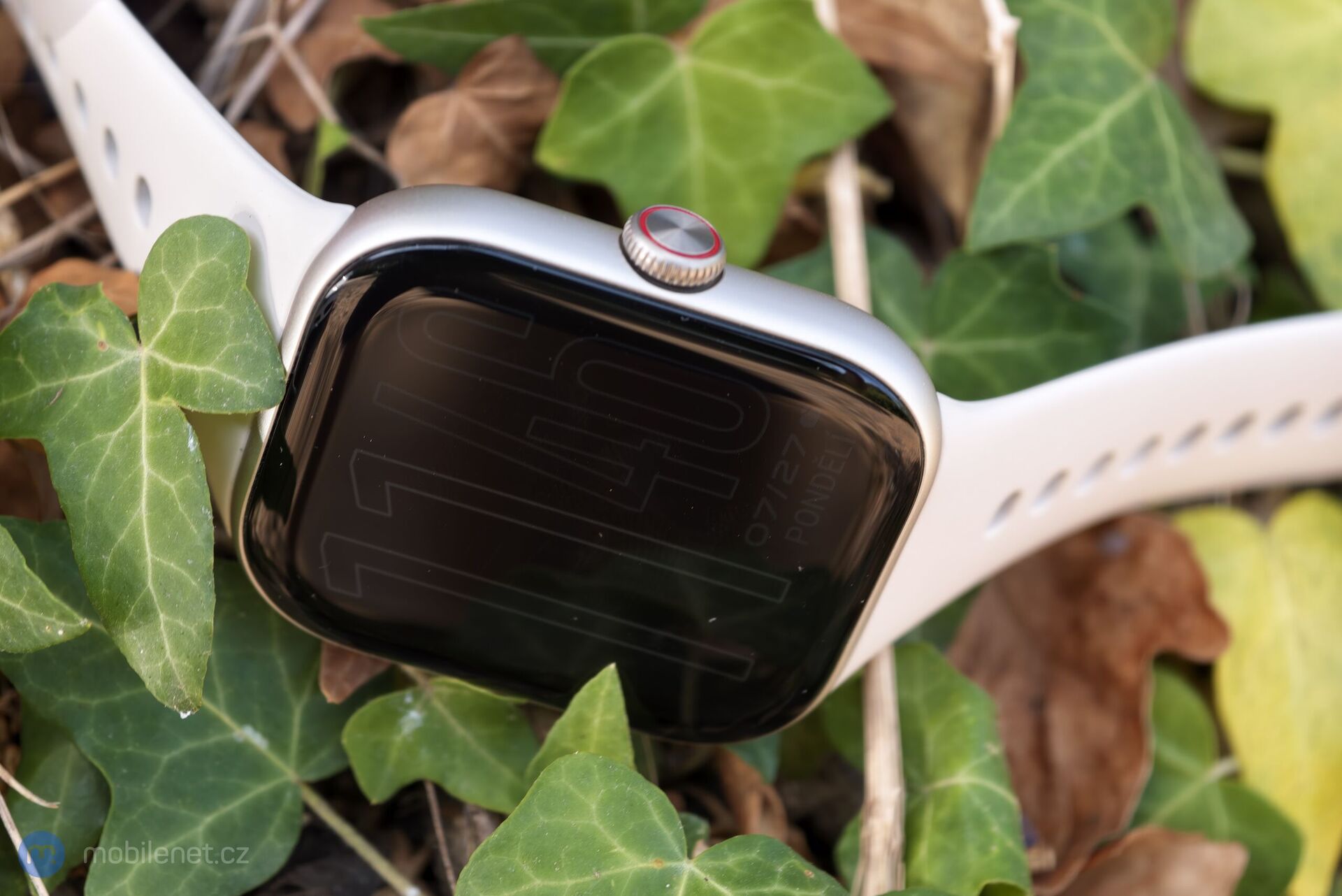 Vivo Watch GT 2