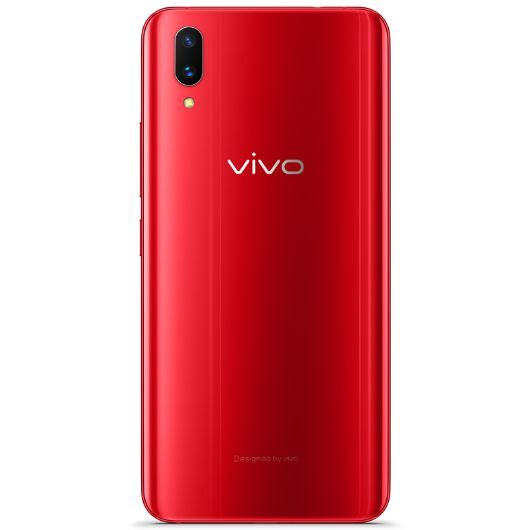 Vivo X21