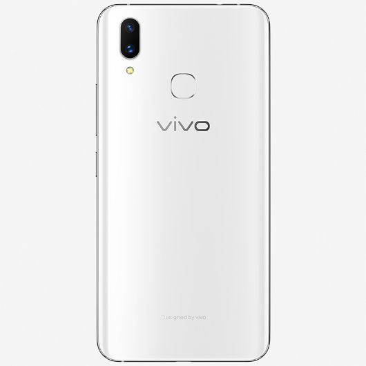 Vivo X21