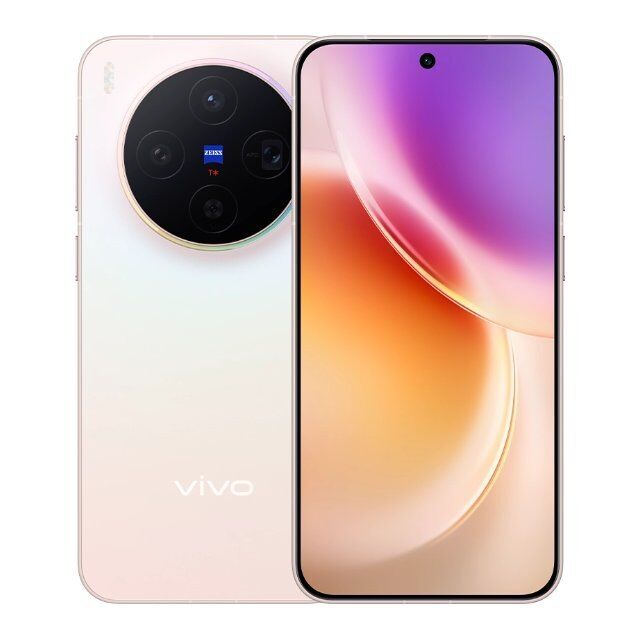 Vivo X300