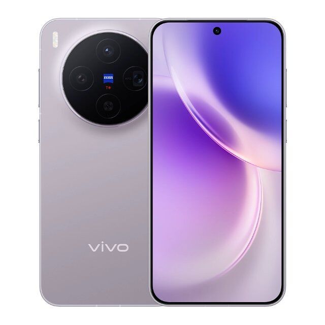 Vivo X300