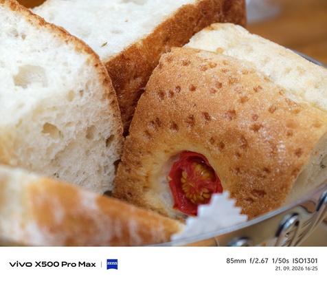 Vivo X500 Pro Max