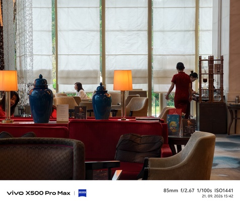 Vivo X500 Pro Max