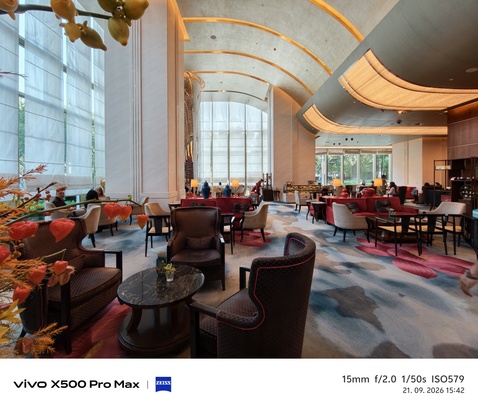 Vivo X500 Pro Max