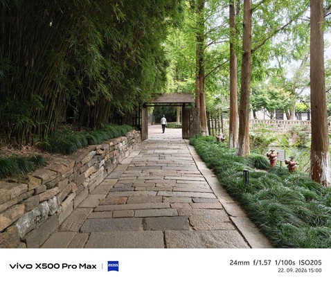 Vivo X500 Pro Max