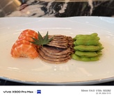 Vivo X500 Pro Max
