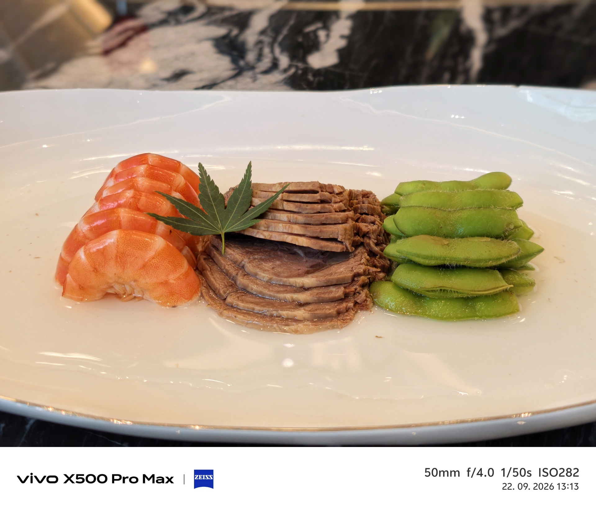 Vivo X500 Pro Max