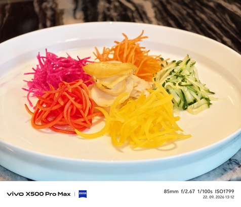 Vivo X500 Pro Max