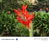 Vivo X500 Pro Max