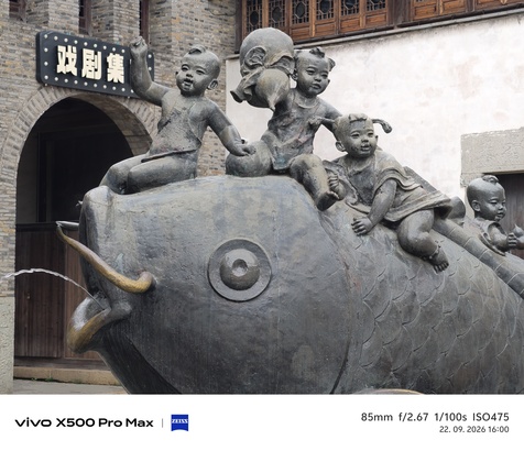 Vivo X500 Pro Max