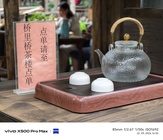 Vivo X500 Pro Max