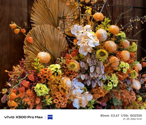 Vivo X500 Pro Max