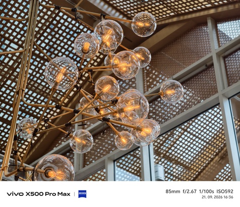 Vivo X500 Pro Max