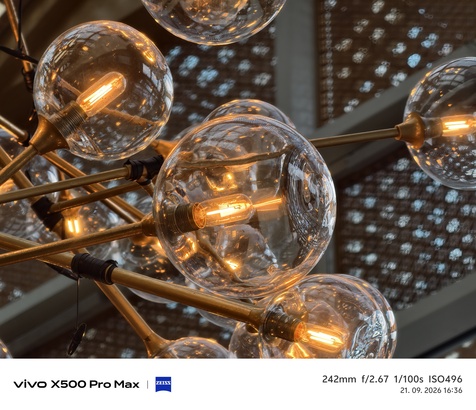 Vivo X500 Pro Max