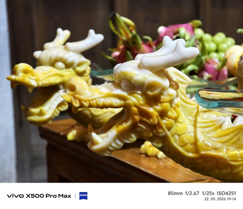 Vivo X500 Pro Max
