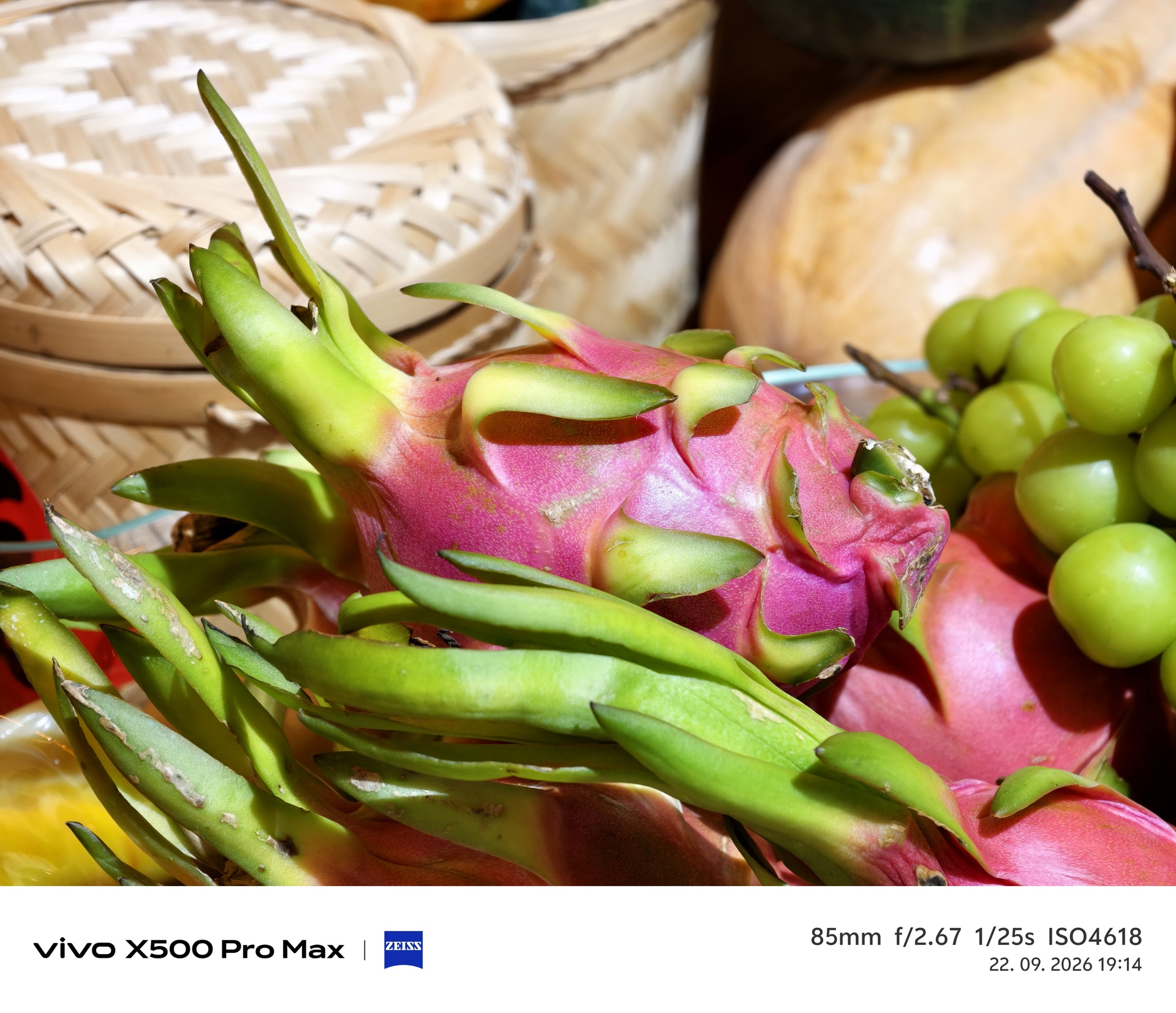Vivo X500 Pro Max
