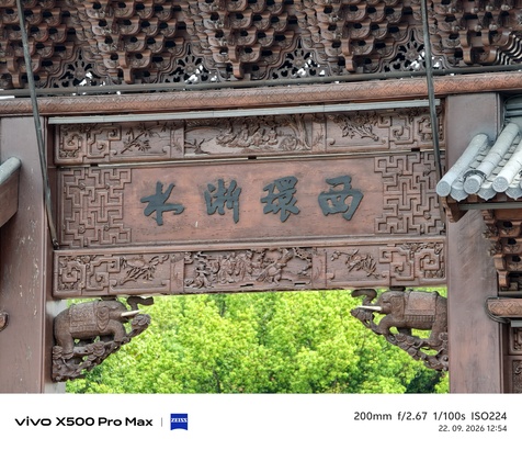 Vivo X500 Pro Max