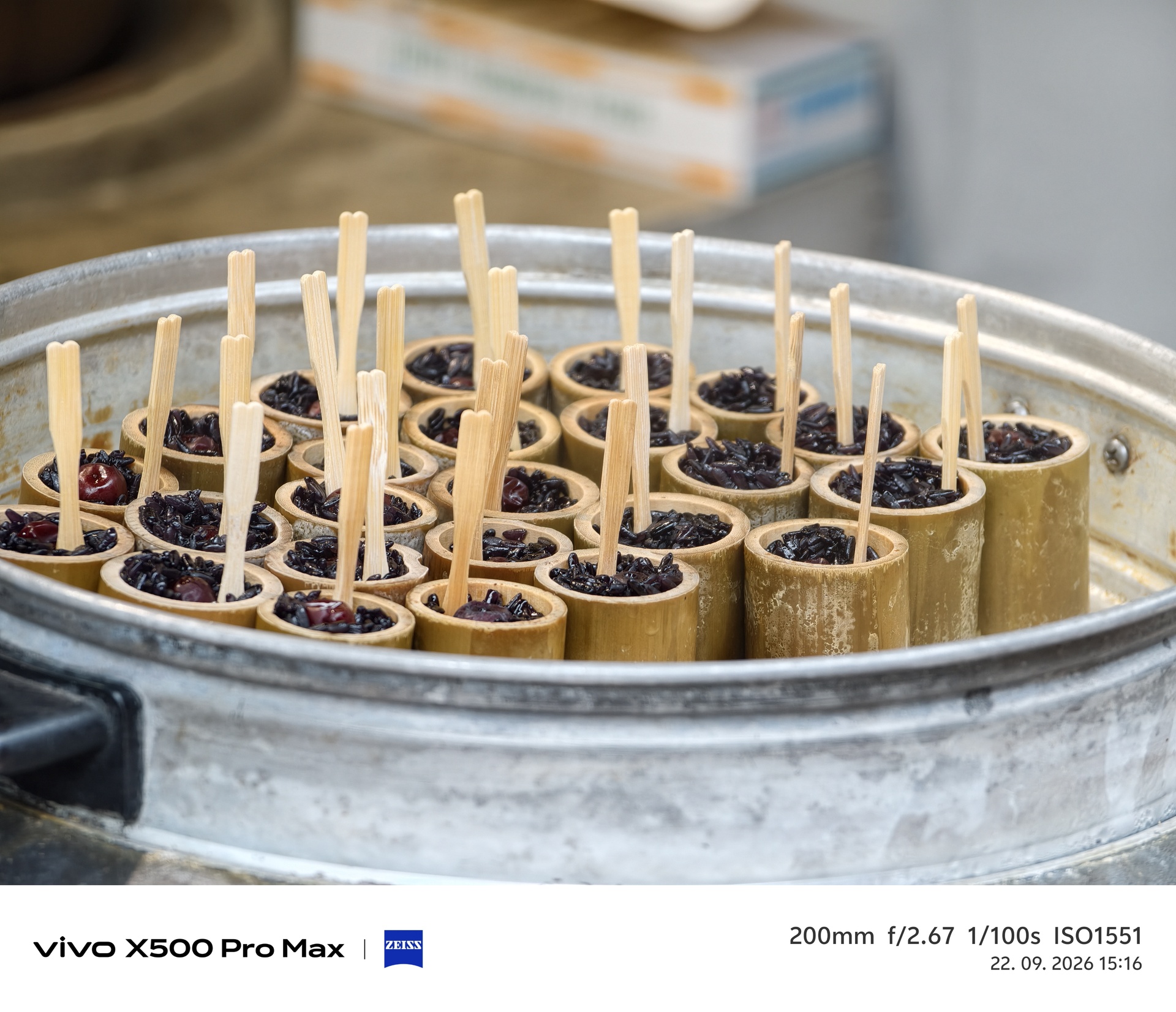 Vivo X500 Pro Max