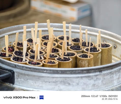 Vivo X500 Pro Max