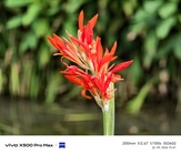 Vivo X500 Pro Max