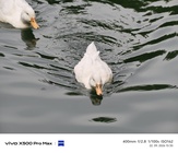 Vivo X500 Pro Max