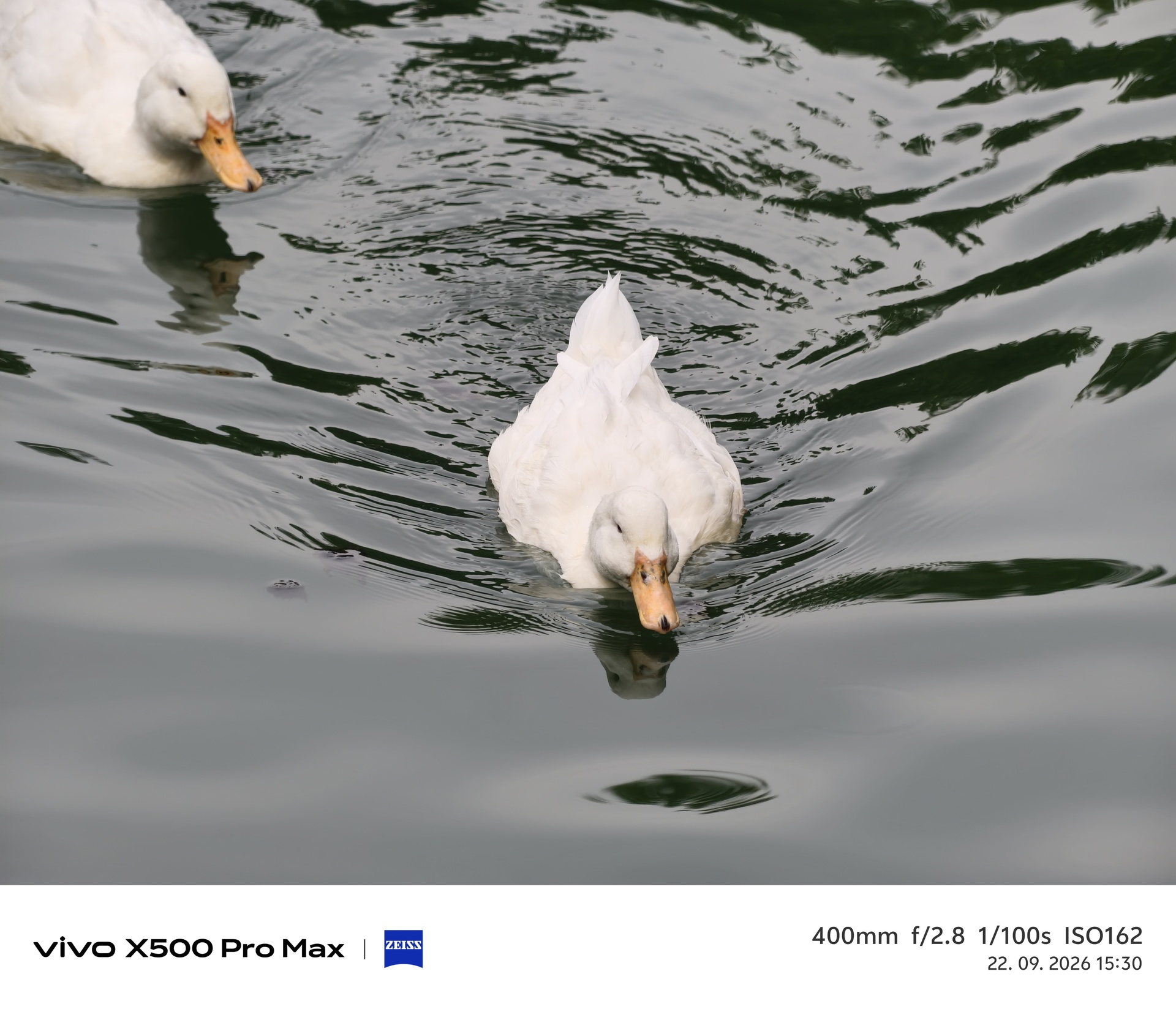 Vivo X500 Pro Max