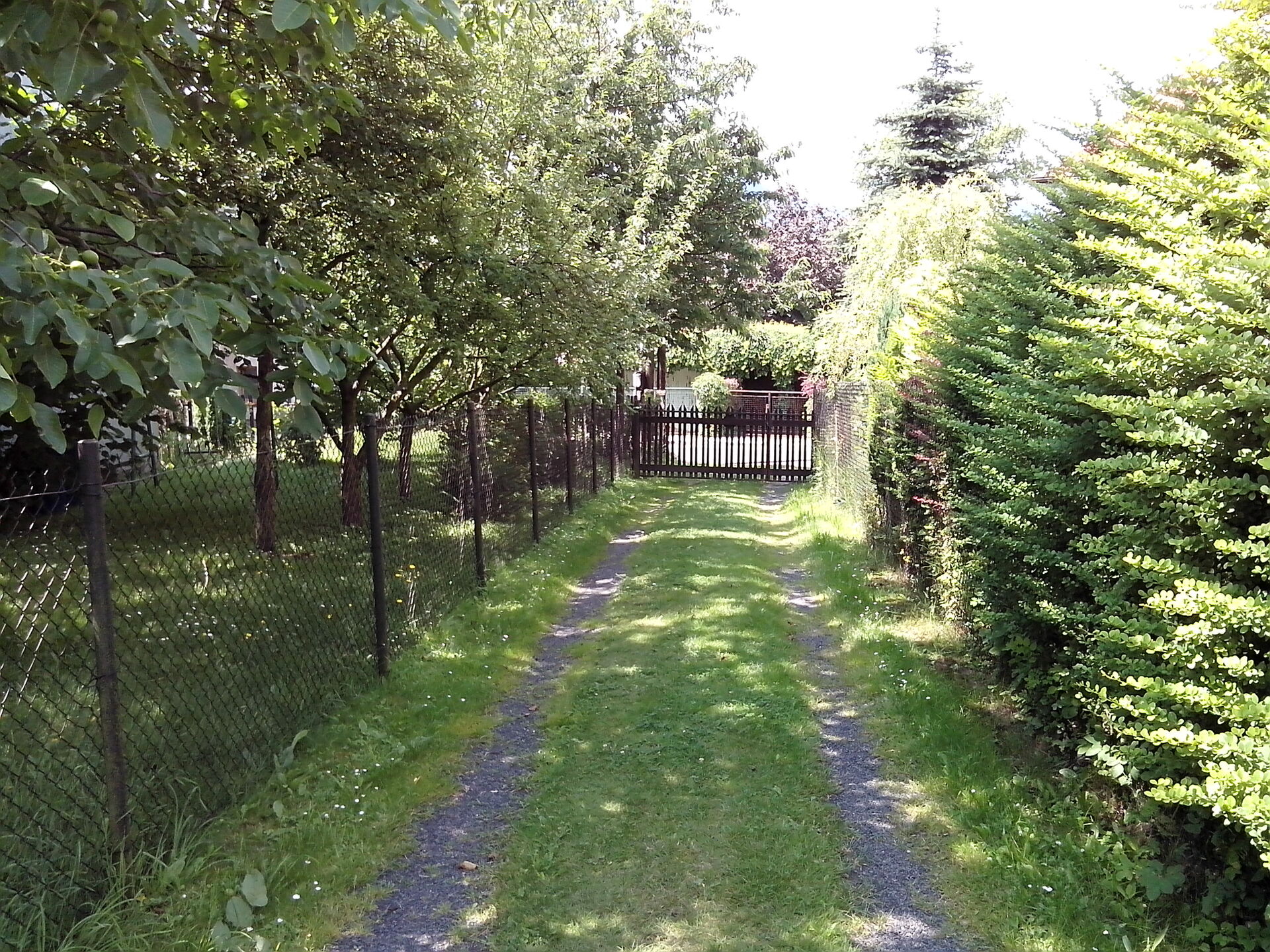 Vodafone 975N Smart III