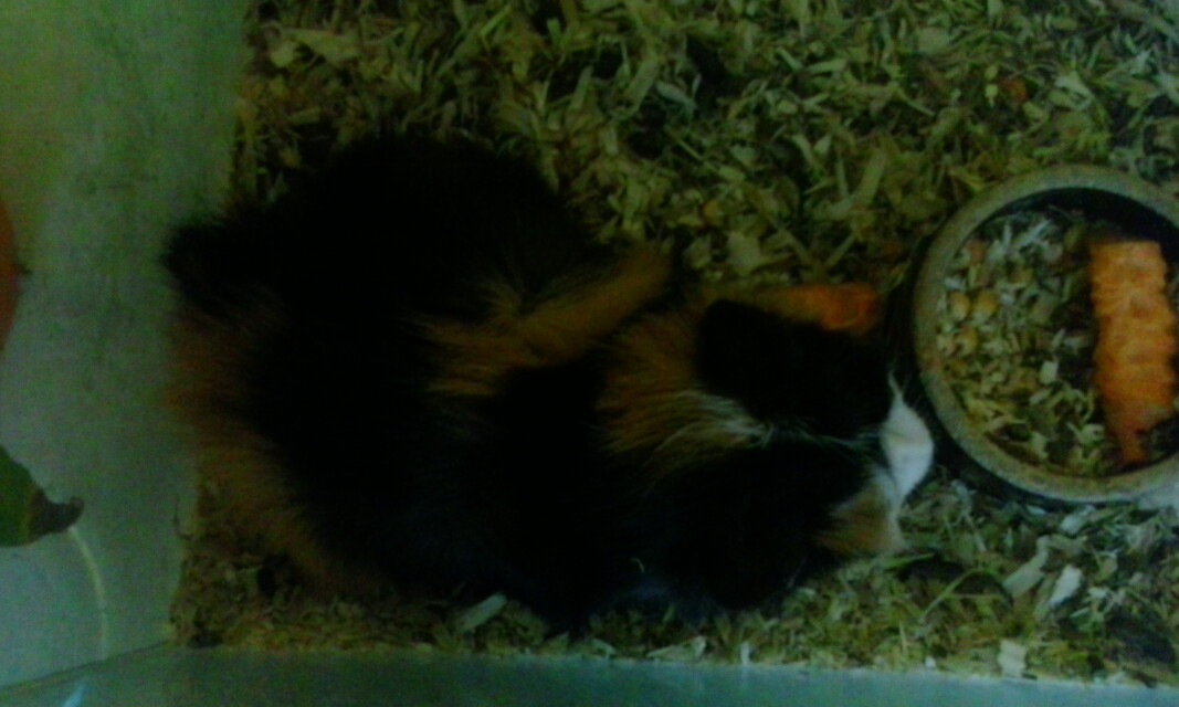 Vodafone Smart 4 mini