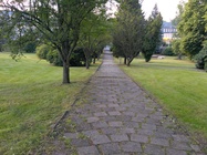 Vodafone Smart platinum 7