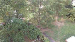 Vodafone Smart prime 6