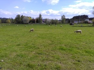 Vodafone Smart prime 7