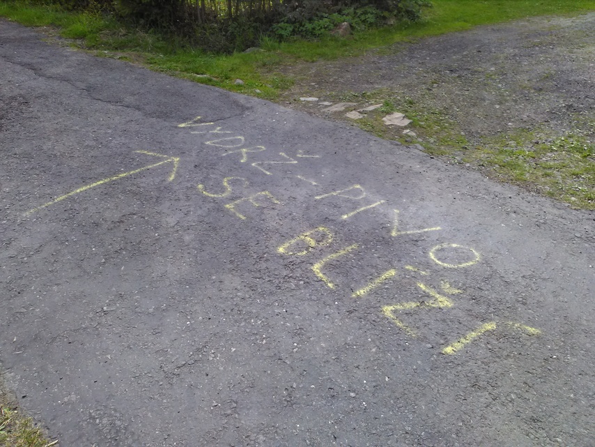 Vodafone Smart prime 7