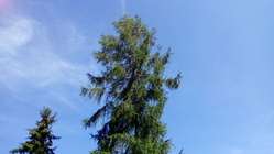 Vodafone Smart speed 6