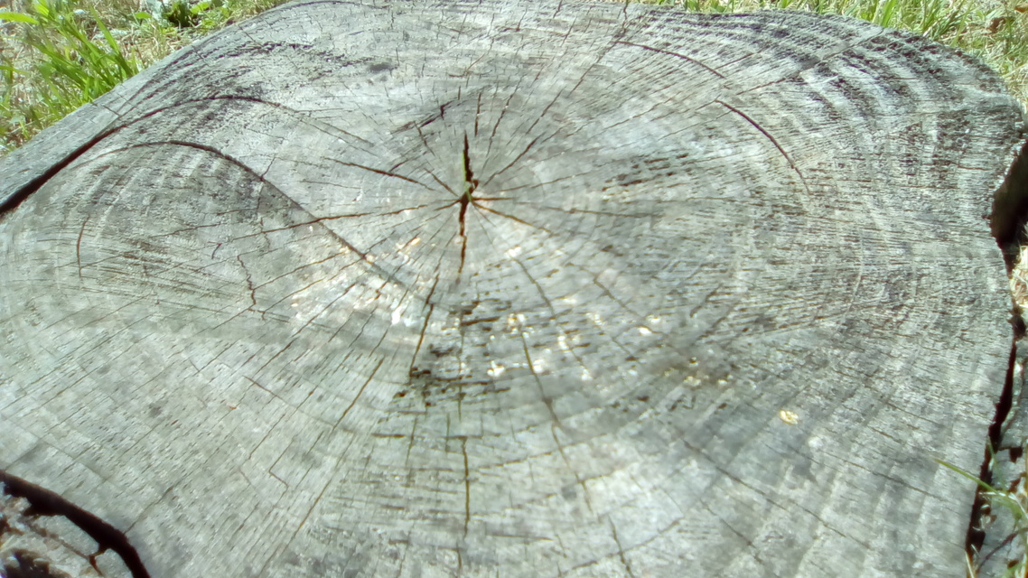 Vodafone Smart speed 6