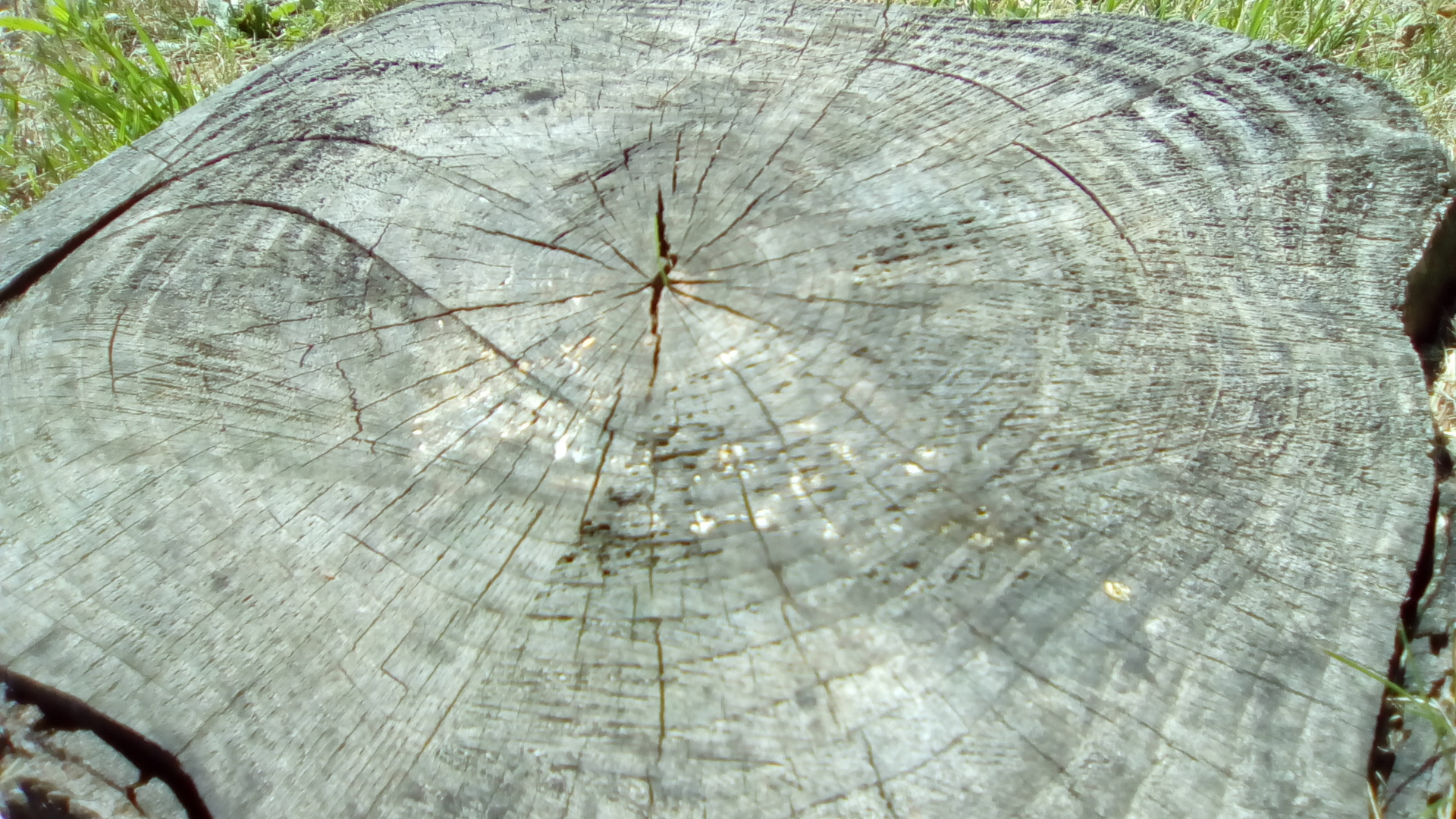 Vodafone Smart speed 6