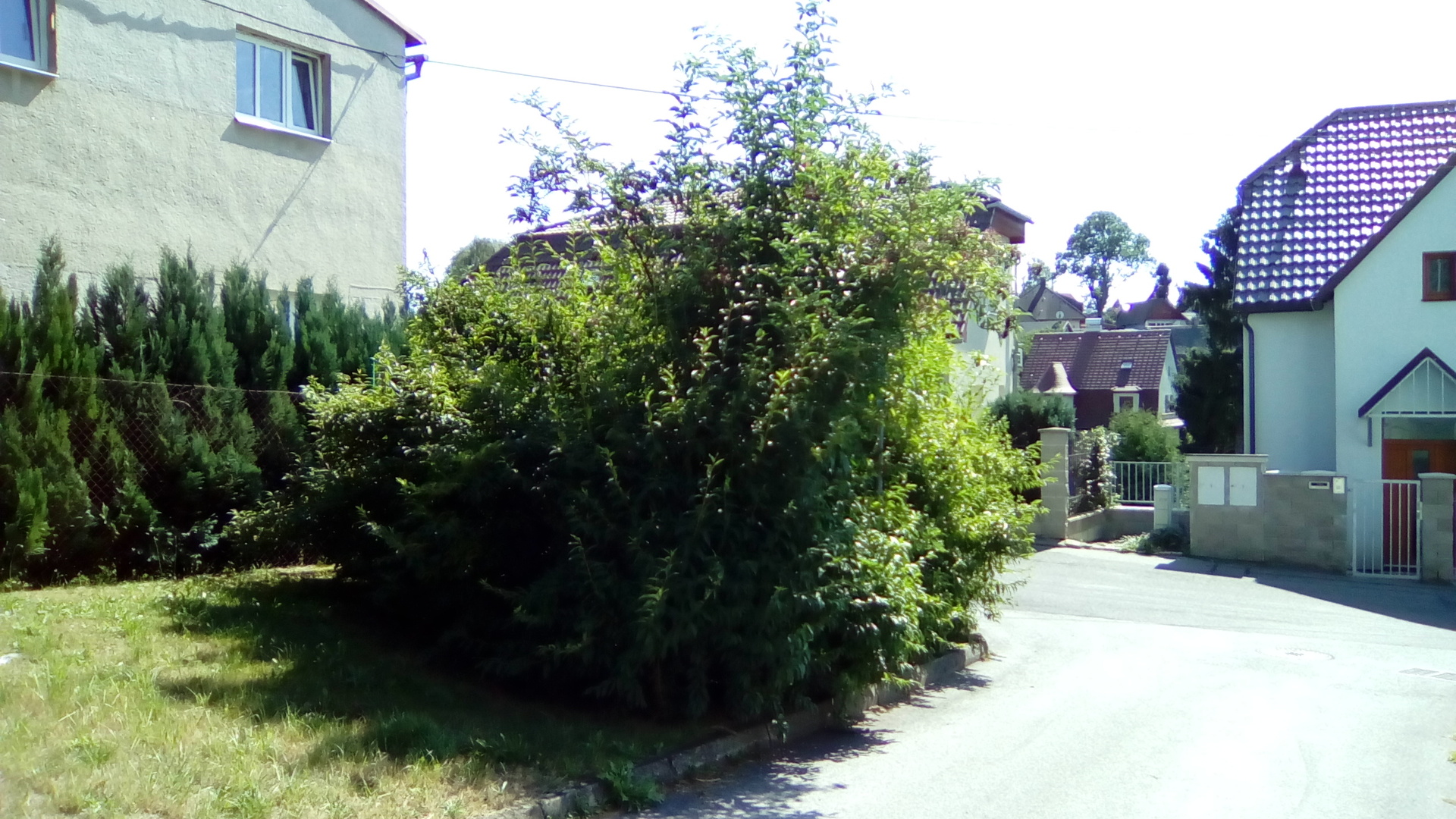 Vodafone Smart speed 6