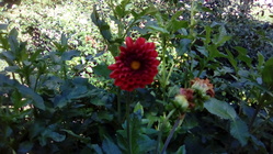 Vodafone Smart speed 6