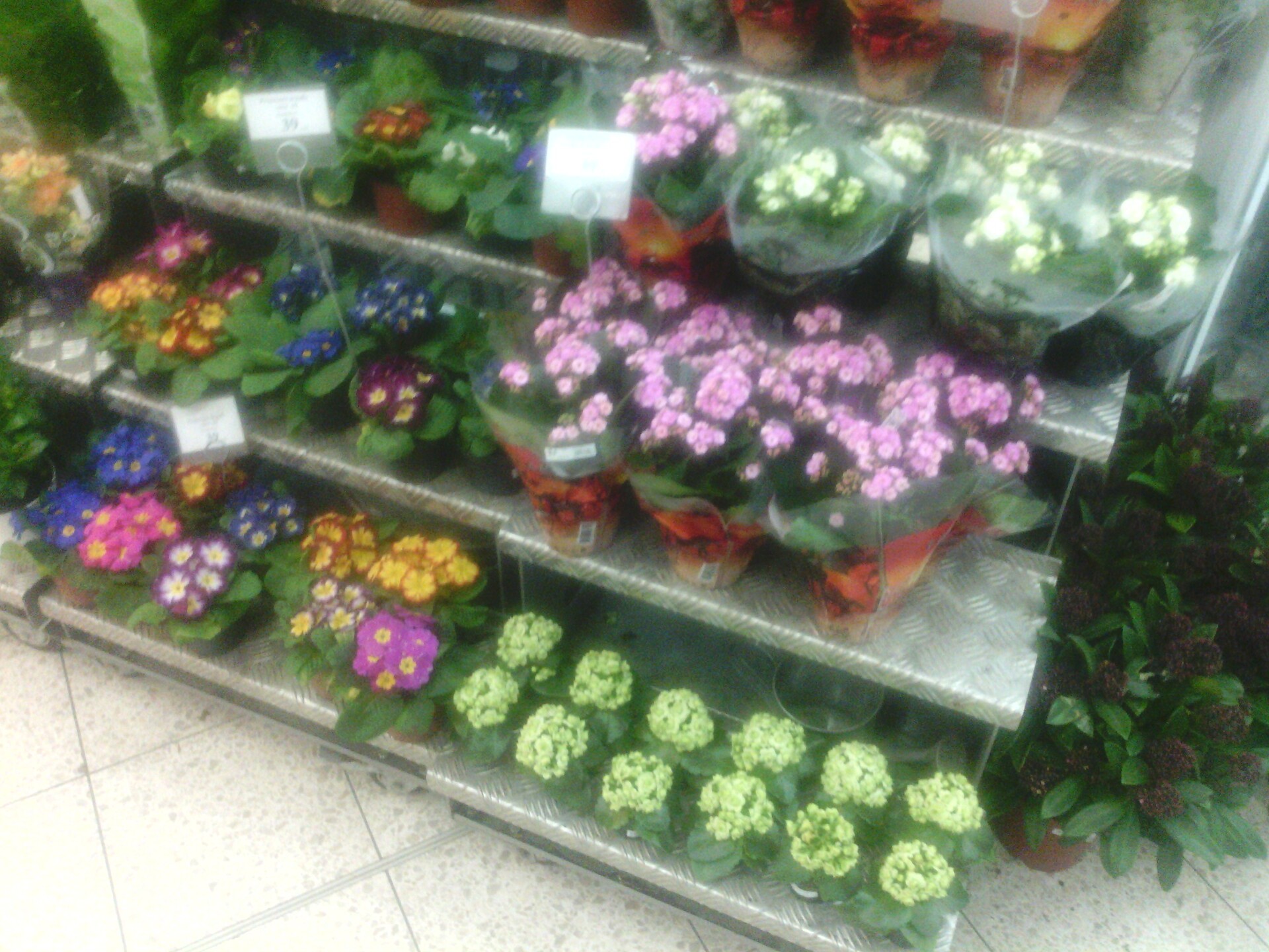 Vodafone Smart Tab II 10