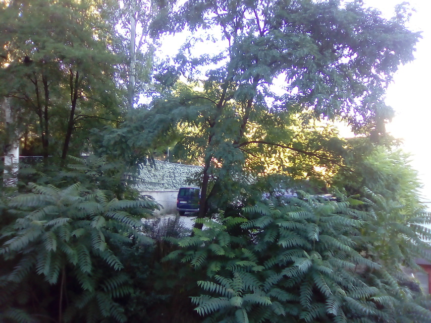 Vodafone Smart turbo 7