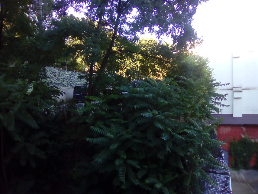 Vodafone Smart turbo 7