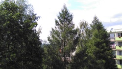 Vodafone Smart Ultra 6