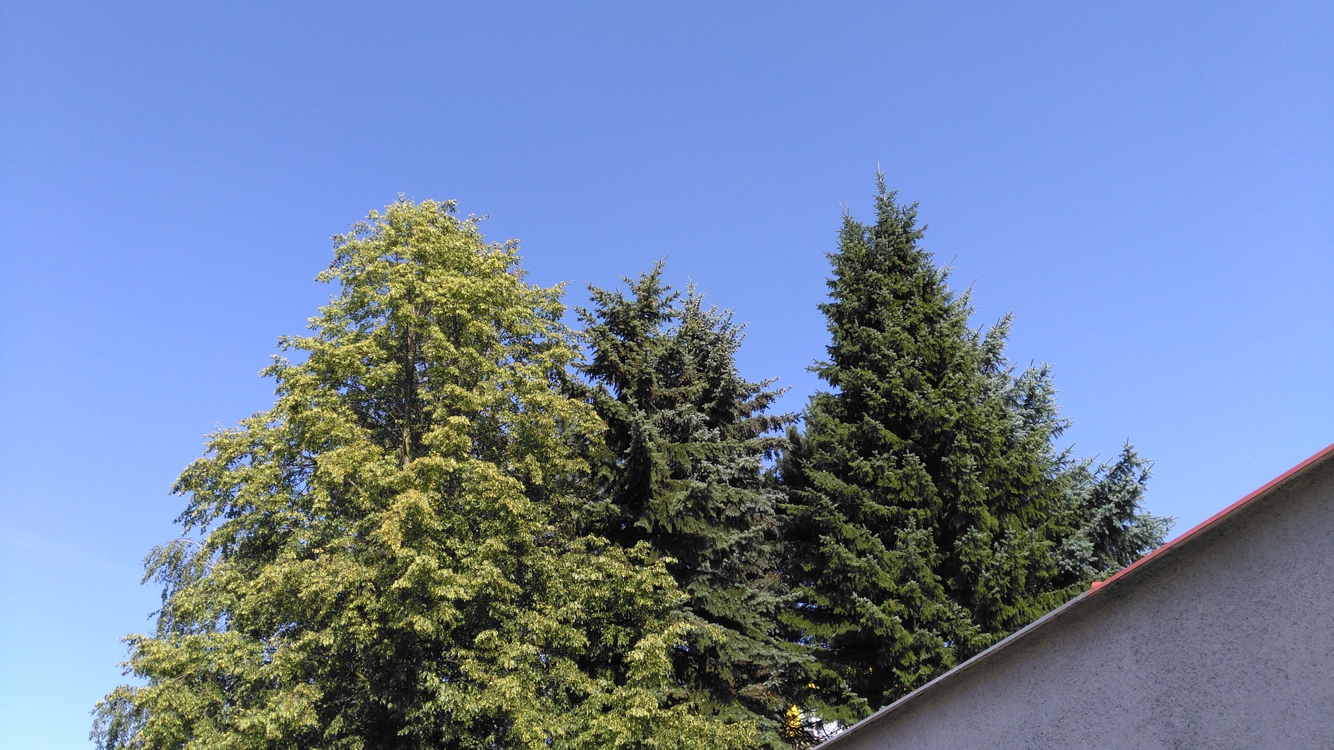 Vodafone Smart Ultra 6